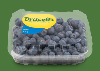 Blauwe bessen Driscoll's